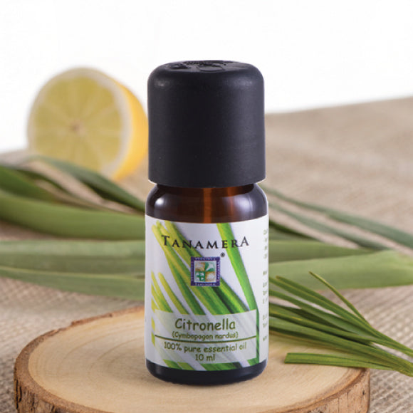 Citronella-EO.jpg