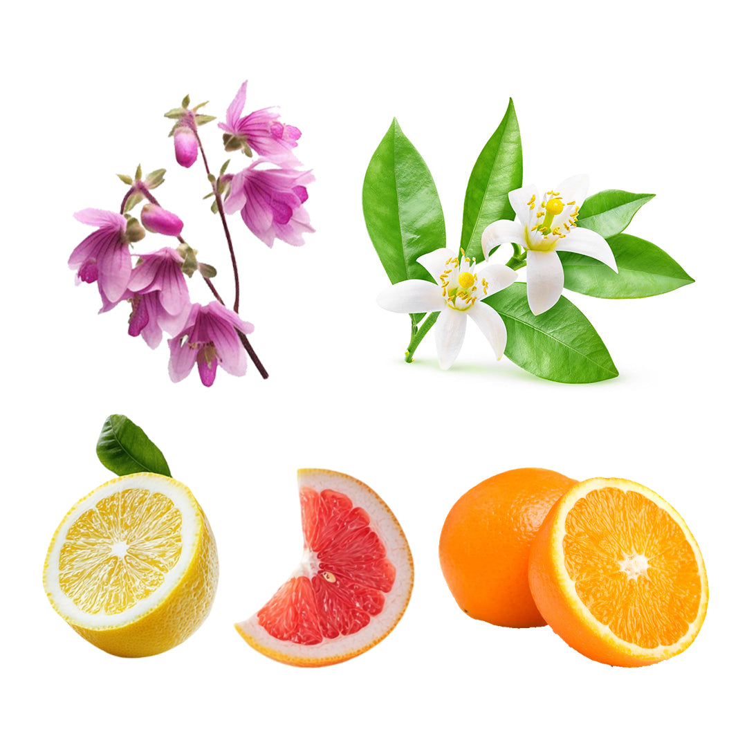 Energizing-Blend.jpg