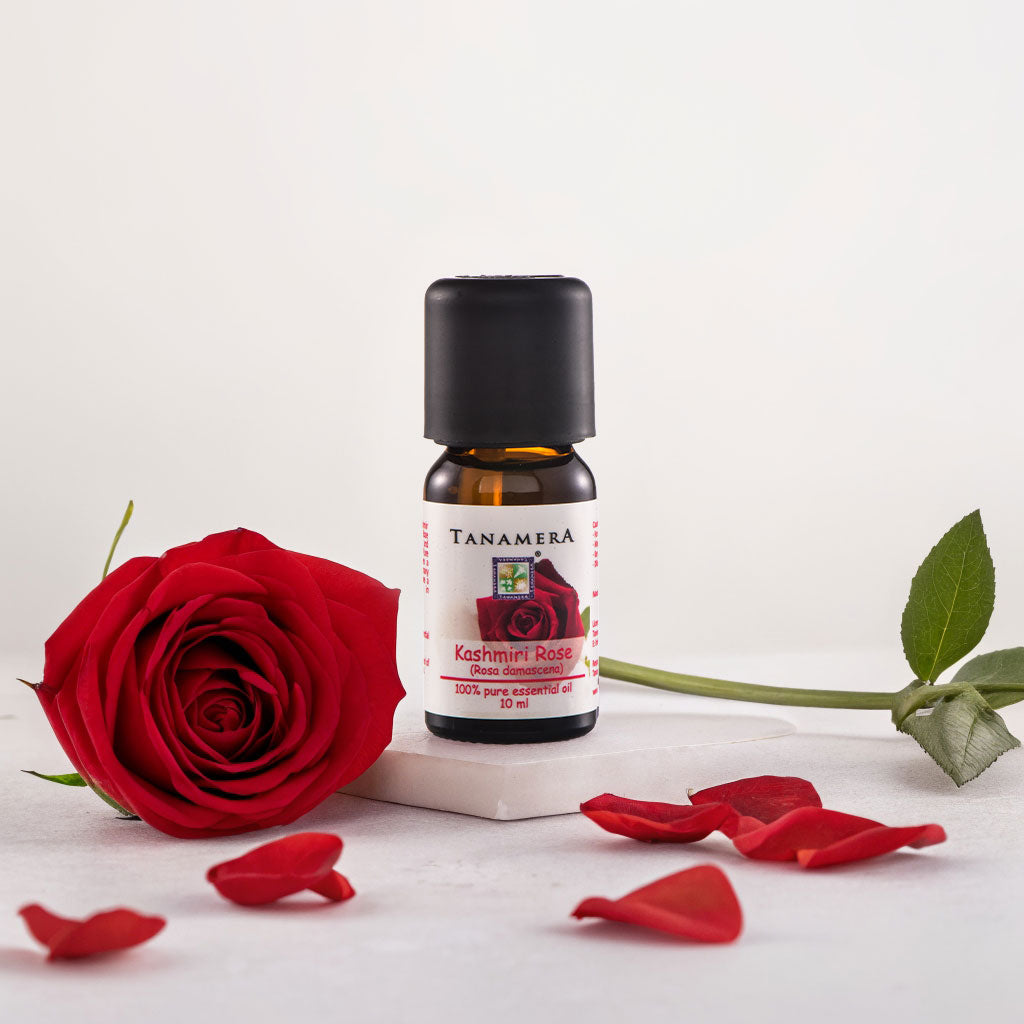 Kashmiri-Rose-EO.jpg