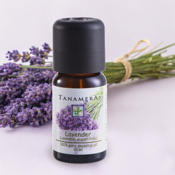 Lavender-EO.jpg