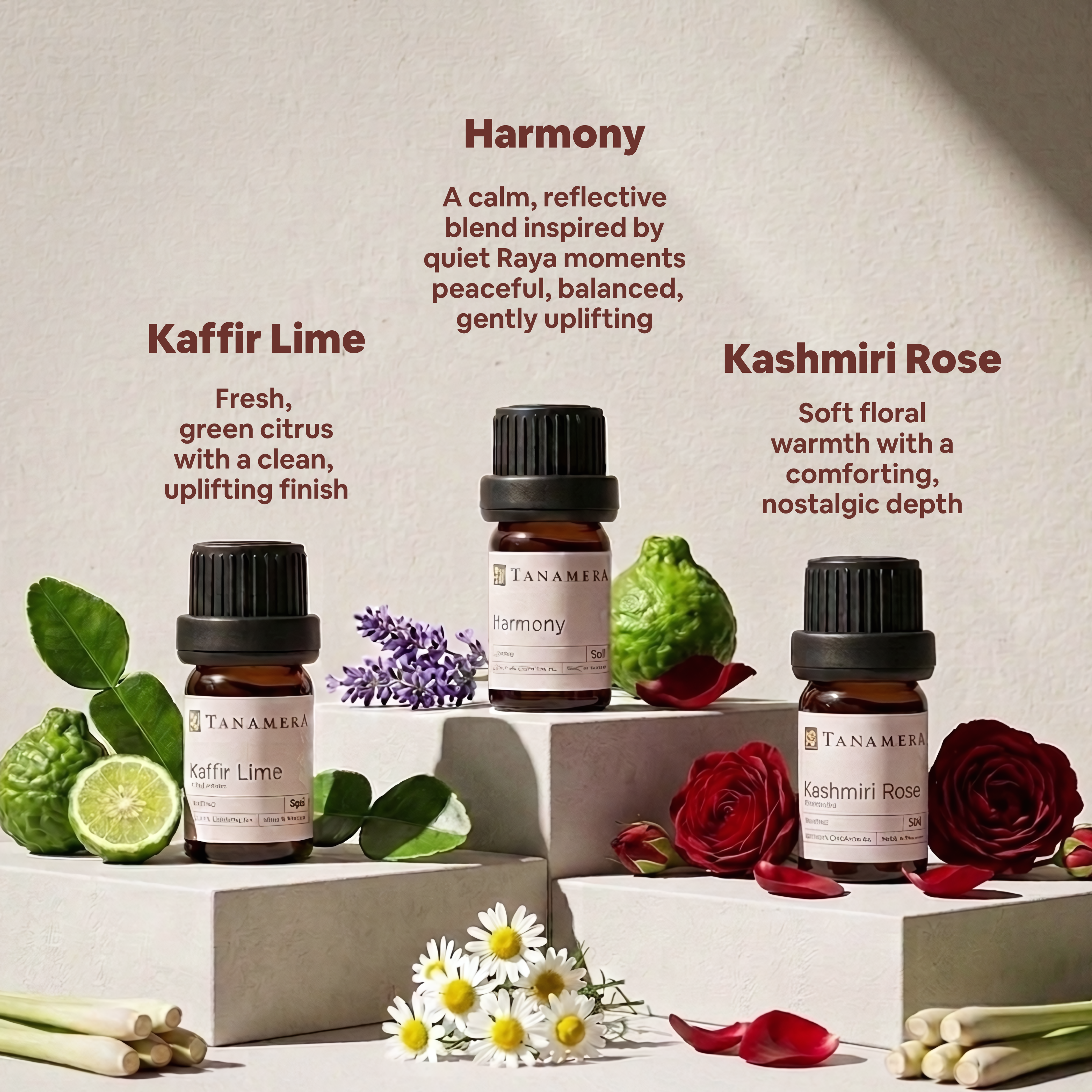 Memori - Zahirah MacWilson Exclusive EO Set