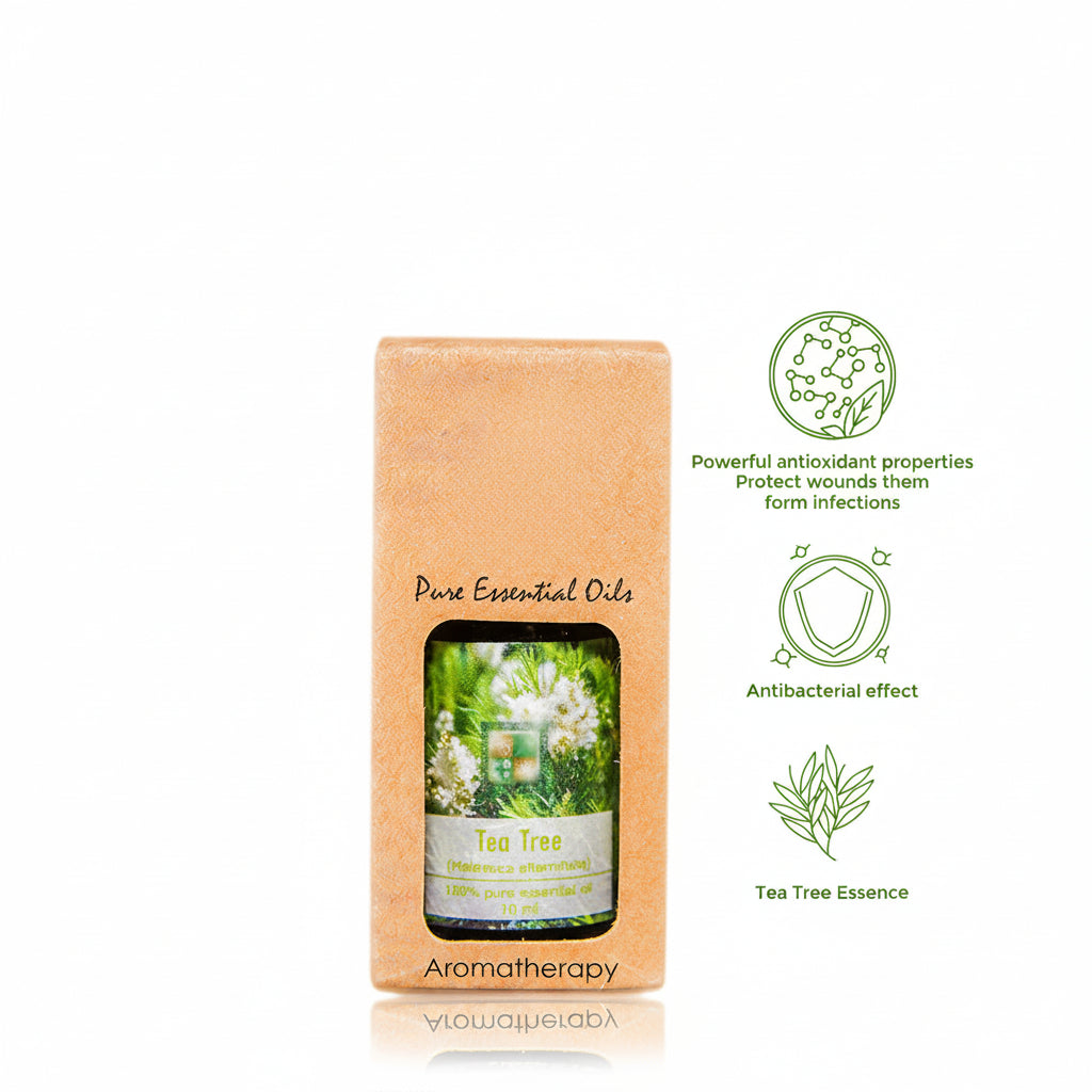 Tanamera Tea Tree Pure Essential Oil 10ml aromatherapy packaging with antibacterial and antioxidant benefits