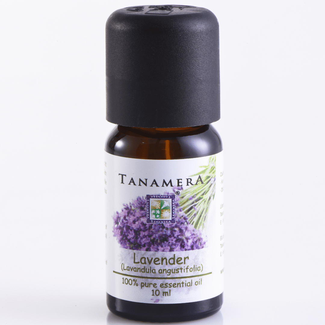 lavender-1.png