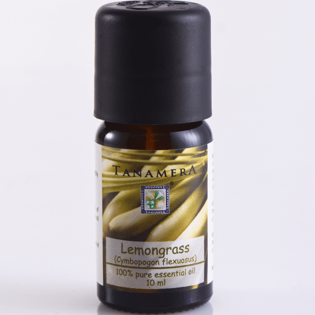 lemongrass.png